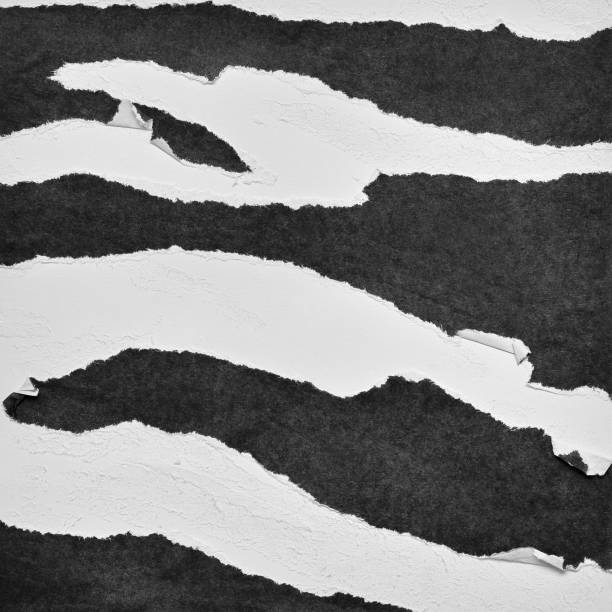 istock Black and White Torn Paper Collage Style, Ripped Paper Effect, Texture Abstract Background, Copy Space for Text. 1343966721