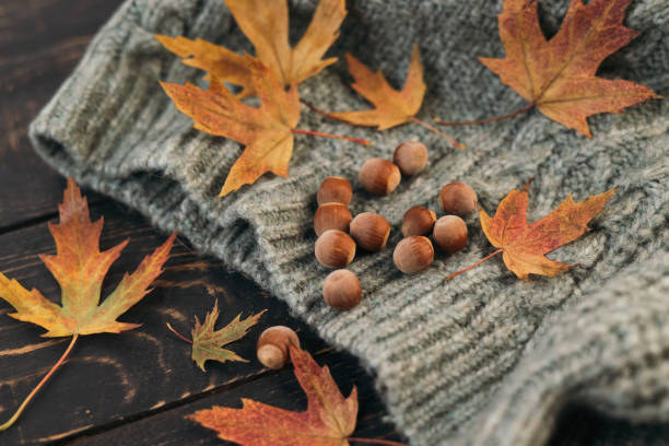 istock cozy autumn composition with knitted sweater, fallen leaves and acorns 1343972460