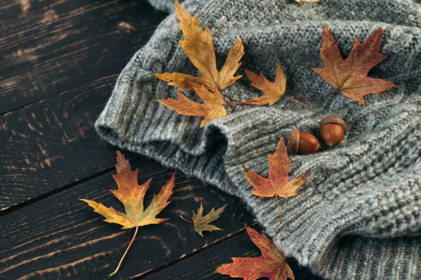 istock Autumn composition. Knitted plaid or scarf and fallen leaves on dark grey background. Hello Autumn, Cozy atmosphere. Flat lay, copy space. 1343972466