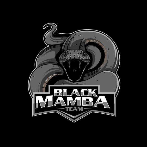 Black Mamba insignia Black Mamba and the kiss of death insignia vector format in separated layers for editing team snake stock illustrations