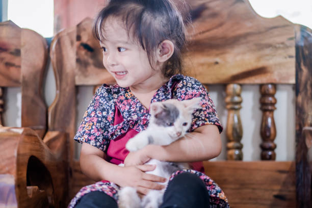 istock child playing with cat cute beautiful girl 1343973507