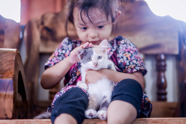 child playing with cat cute beautiful girl