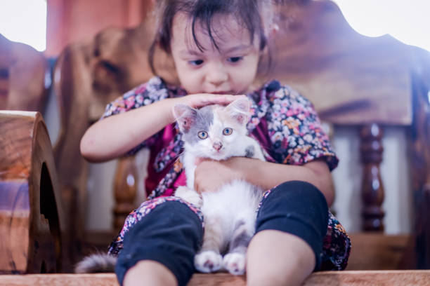 child playing with cat cute beautiful girl