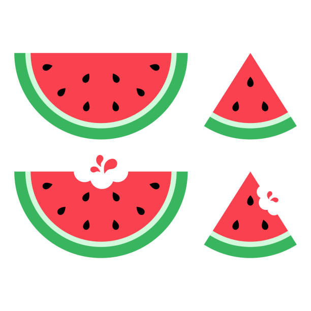 ilustraciones, imágenes clip art, dibujos animados e iconos de stock de conjunto vectorial de ilustraciones de diseño plano de sandía - watermelon