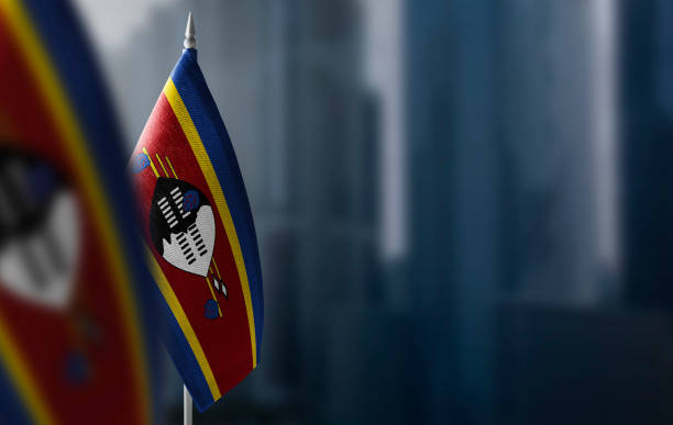 petits drapeaux du swaziland sur un fond flou de la ville - swaziland photos et images de collection