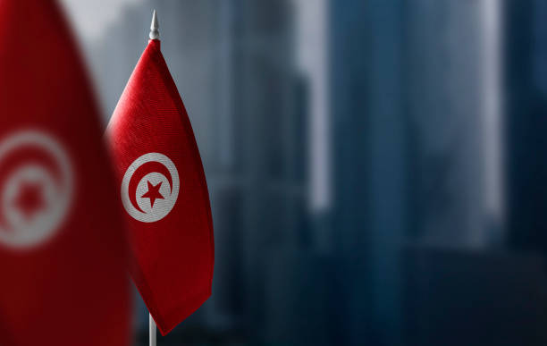 Small flags of Tunisia on a blurry background of the city stock photo