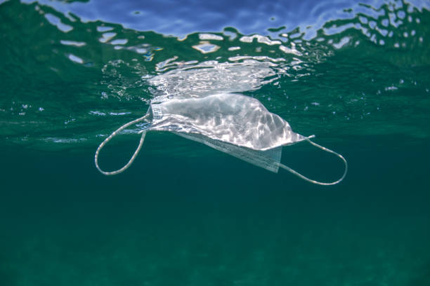 istock Face mask in the ocean 1343985254