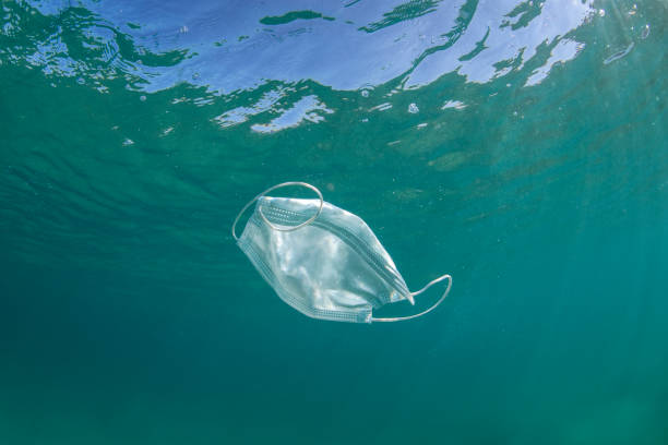 istock Face mask in the ocean 1343985266