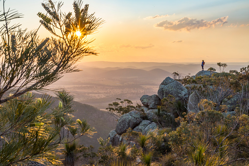 Mount Walsh National Park is in the Biggenden area. Steep forested slopes, sheltered gullies, rugged ridge lines and mountain areas with spectacular exposed granite outcrops and cliffs support an amazing diversity of vegetation.