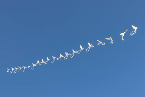 Many flying kites in the cloudless blue sky.