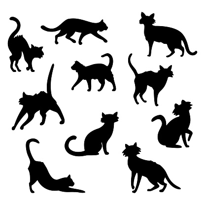 Collection of 10 black Halloween cats on white background - Vector illustration