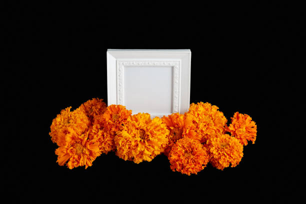 istock white photo frame with place for text on black background. composition of bright orange flowers on a dark background 1343999184