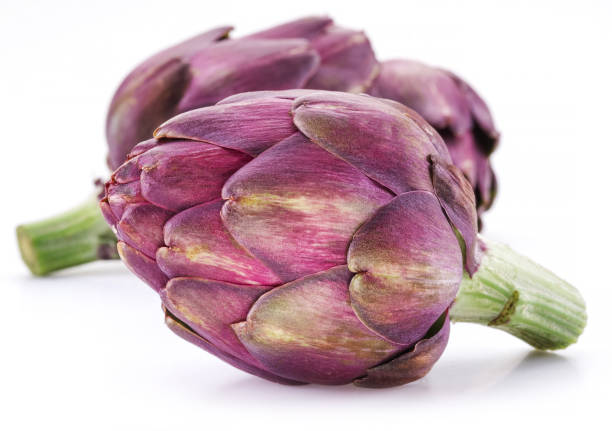 fiore di carciofo, bocciolo commestibile viola isolato su fondo bianco. - purple artichoke foto e immagini stock