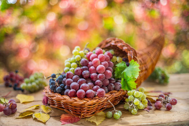 istock Autumn still life with ripe different grape varieties. Behind the beautiful autumn bokeh. 1344001432