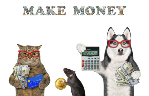 istock Dog husky with cat and rat make money 1344009693