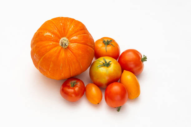 Multi-colored tomatoes in a vase and pumpkin on a black background.