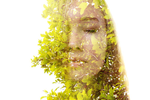 istock We are nature. Double exposure portrait isolated on a white background 1344013065