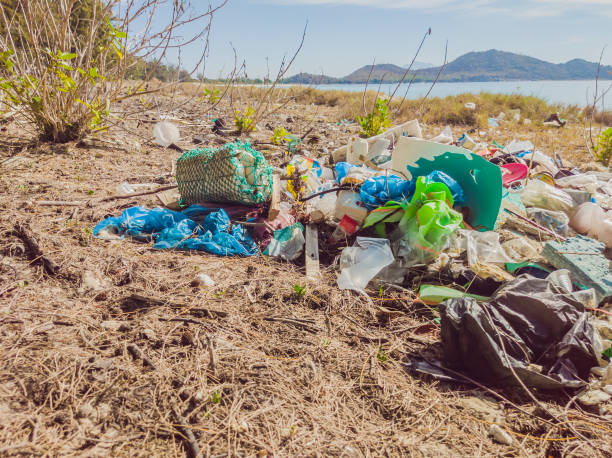 istock Spilled garbage on the beach. Empty used plastic, boxes and ropes. Dirty sea sandy shore. Environmental pollution. Ecological problem. Ocean Dumping - Total pollution 1344014204