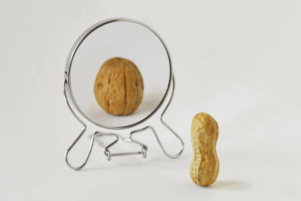 Peanut looking in the mirror and seeing itself as a walnut - Concept of dysmorphobia, anorexia, distorted self-image Peanut looking in the mirror and seeing itself as a walnut - Concept of dysmorphobia, anorexia, distorted self-image bulimia stock pictures, royalty-free photos & images