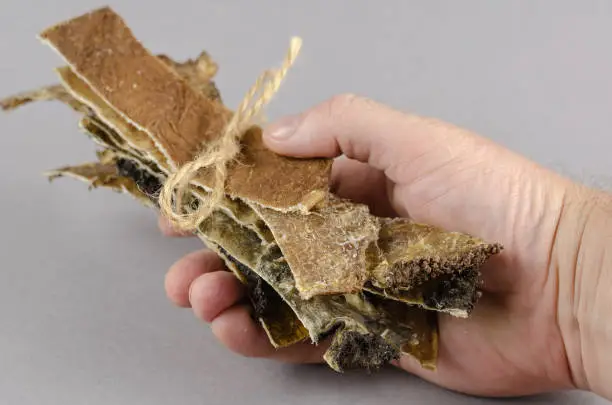 Photo of A man holds up dog treats tied with twine. Long dried plates of