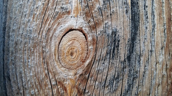 light wood texture of a wooden slat