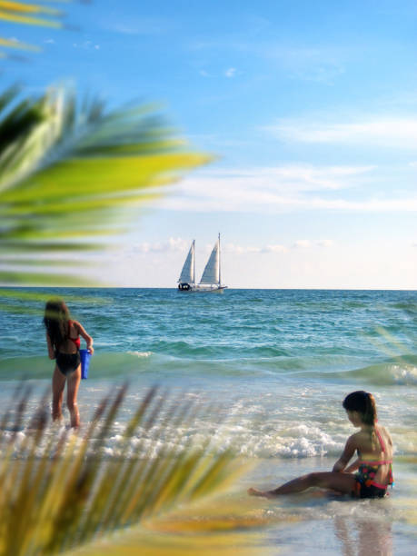 http://www.zenfolio.com/img/s1/v21/p622285266.jpg