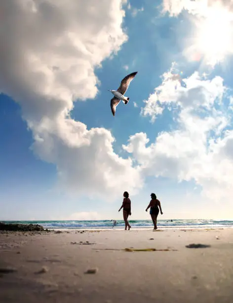 Photo of Two mid adult women on beach vacation