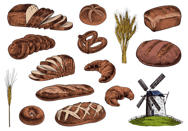 illustrations, cliparts, dessins animés et icônes de ensemble d’illustrations vectorielles de produits de boulangerie - bagel bread isolated baked