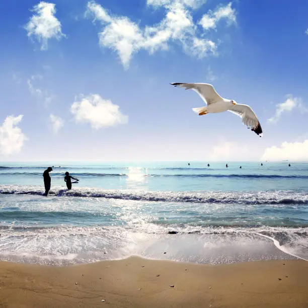 Photo of Beautiful sunny seascape with silhouetted people and flying seagull