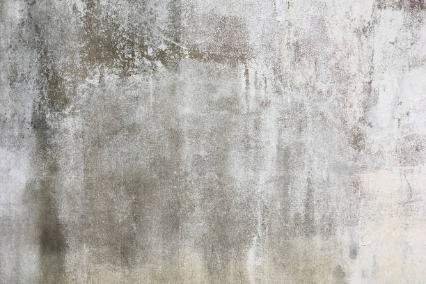 istock Old concrete white-cream-brown wall textures for background with cracks textures 1344020184