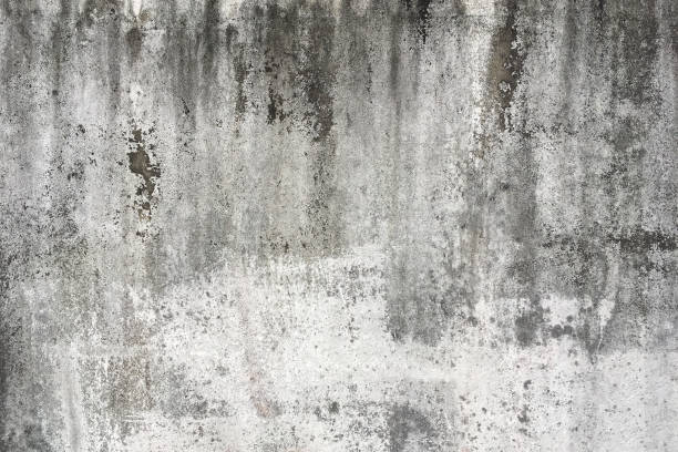 Old concrete,white-black-gray wall textures for background with cracks textures,Abstract backgrounds.Textures backgrounds
