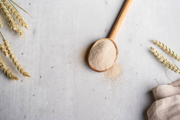 드라이 효모 숟가락과 밀 - bakers yeast 뉴스 사진 이미지