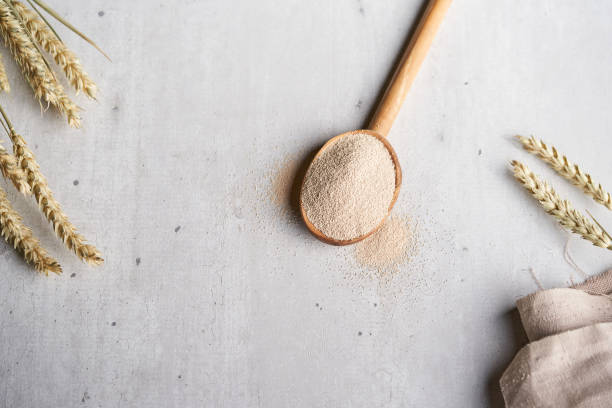 dry yeast spoon and wheat - yeast imagens e fotografias de stock