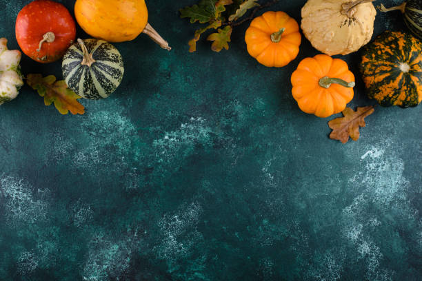 istock Various decorative pumpkins. Autumn harvest 1344021250