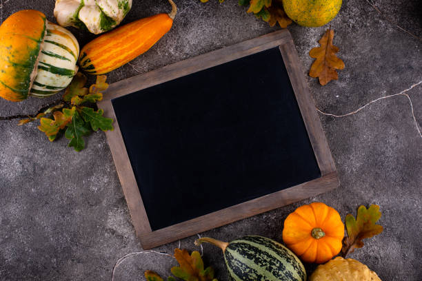 istock Various decorative pumpkins. Autumn harvest 1344021253