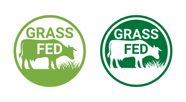 Grass-fed label for beef meat Grass-fed flat sticker for beef meat - shape of cow chewing grass in circular stamp. Isolated vector emblem grass fed stock illustrations