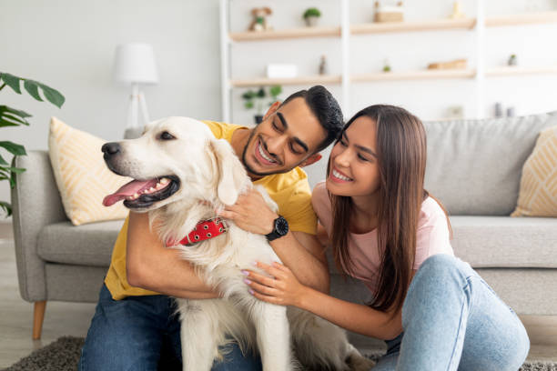 ritratto di coppia multirazziale felice che graffia il loro cane da compagnia, seduto sul pavimento di casa - couple cheerful happiness men foto e immagini stock