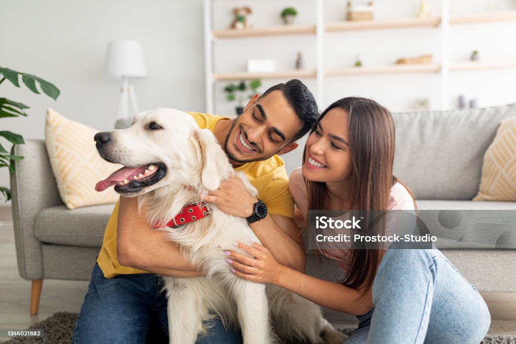 Portrait of happy multiracial couple scratching their pet dog, sitting on floor at home Portrait of happy multiracial couple scratching their pet dog, sitting on floor at home. Arab guy and his Caucasian girlfriend hugging their golden retriever in living room Pets Stock Photo