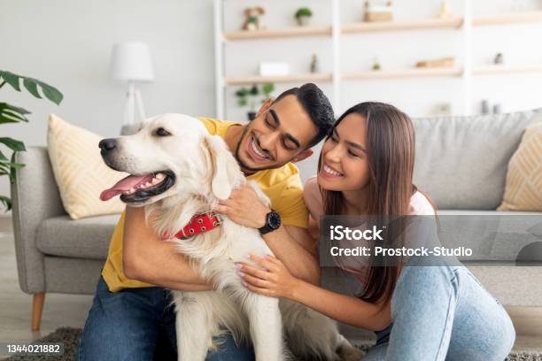 Portrait Of Happy Multiracial Couple Scratching Their Pet Dog Sitting On Floor At Home Stock Photo - Download Image Now