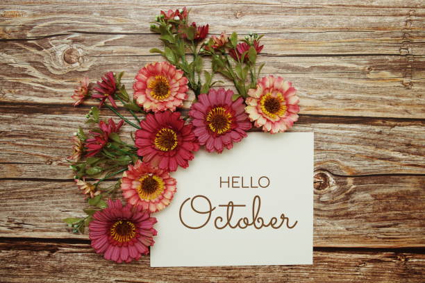 istock Hello October typography text with flowers on wooden background 1344023064