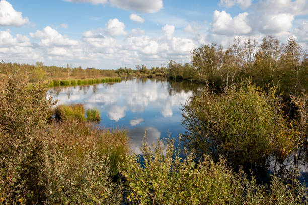 istock Beautiful peat landscape with the name 'Amsterdamsche Veld' 1344023224