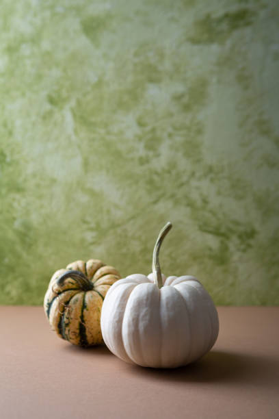 Two small pumpkins autumn harvest concept