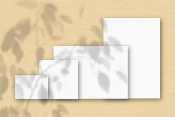 istock Several horizontal and vertical sheets of white textured paper against a peach wall background. Mockup with an overlay of plant shadows. Natural light casts shadows from a tropical plant 1344027166