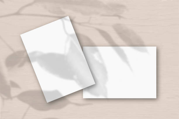 istock 2 sheets of white textured paper against a peach wall. Mockup overlay with the plant shadows. Natural light casts shadows from an exotic plant. Flat lay, top view. Horizontal orientation 1344027192