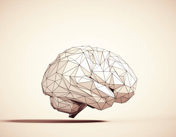 istock Low poly brain. Symbol of wisdom point. Abstract mash line and point origami on white background with an inscription. This is a 3d render illustration 1344027557