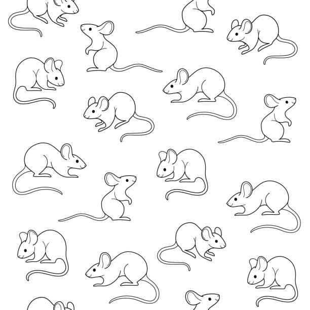 tier - rodent animal nature wildlife stock-grafiken, -clipart, -cartoons und -symbole