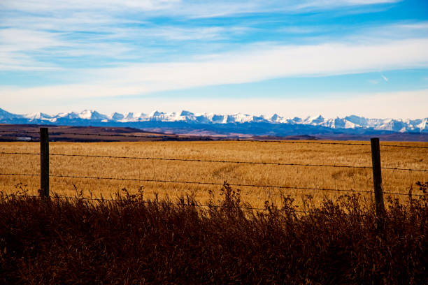 campo okotoks y montañas rocosas - okotoks fotografías e imágenes de stock