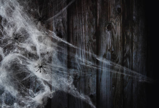 istock Spider web on wooden background. Halloween banner. Copy space. Selective focus. 1344030484