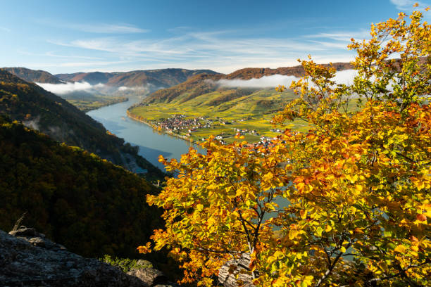istock Wachau valley on a sunny day in autumn 1344034829