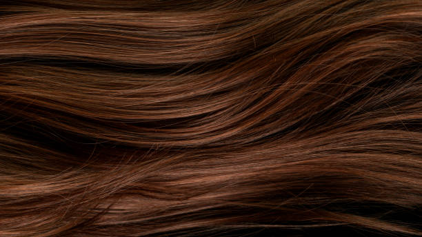 istock Beautiful healthy long smooth flowing brown hair. 1344036167